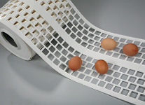 自动产蛋箱鸡蛋输送带，集蛋带