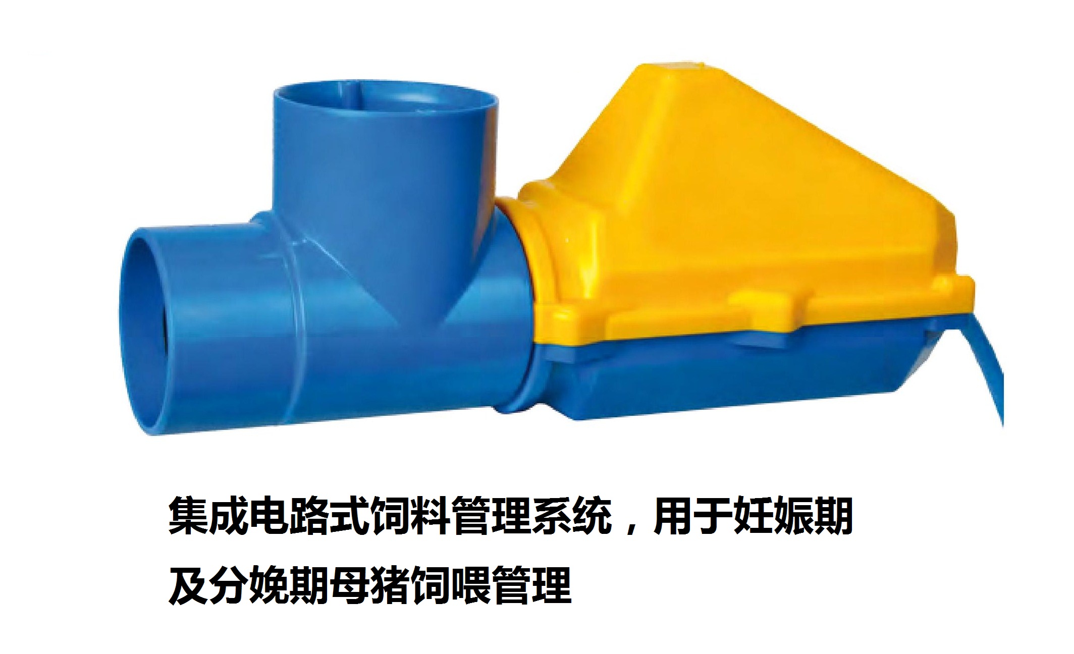Electronic Feeding Management System