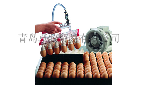Zumoi Vacuum Egg Chuck