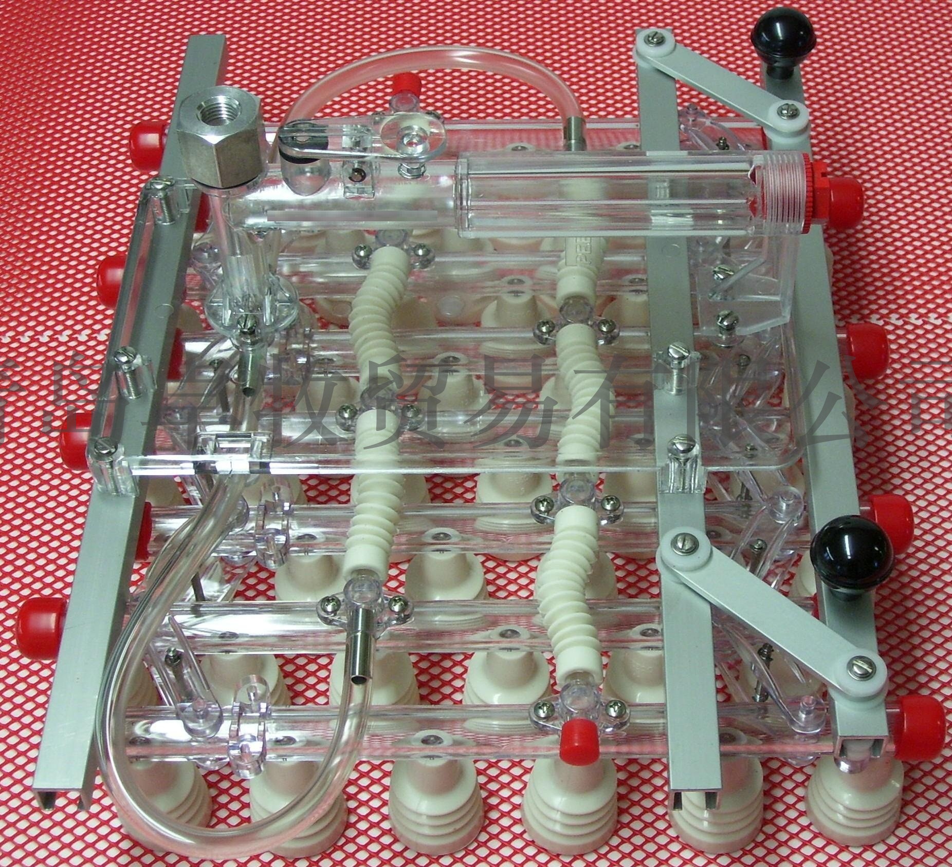 Zumoi Transmutative Vacuum Egg Transporter 