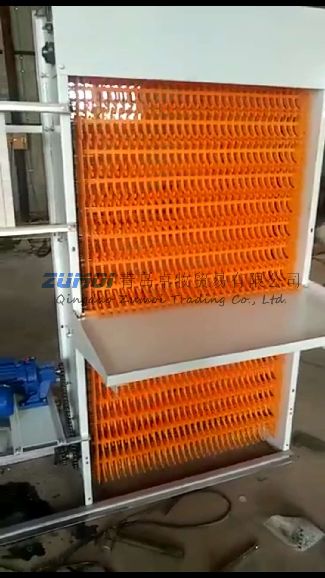 Automatic Egg Collecting System For Layer Farming House
