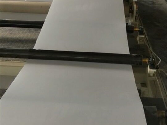 Manure Belts, Poultry Manure Belts